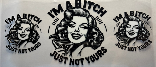 I'm A B***H not yours